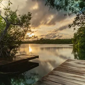 https://yaxchen-tulum-eco-lodge-cenote.allrivieramayahotels.com